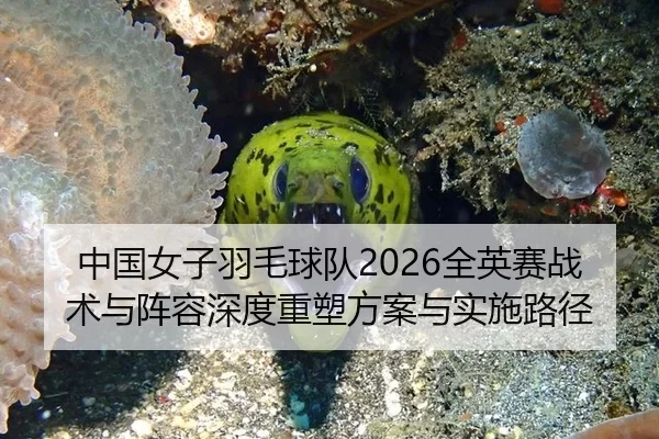 中国女子羽毛球队2026全英赛战术与阵容深度重塑方案与实施路径